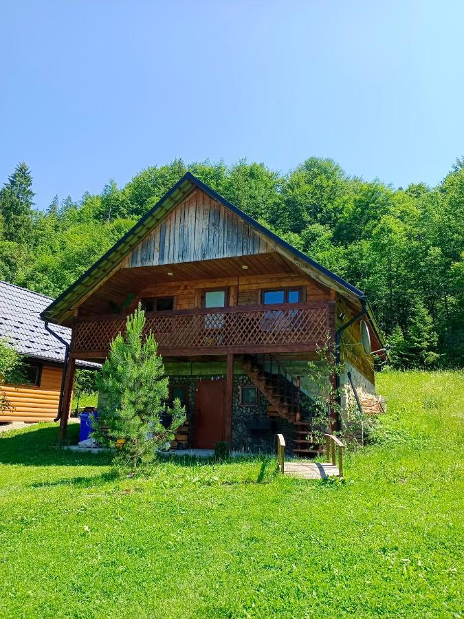 Під Горою Villa Sheshory Exterior photo