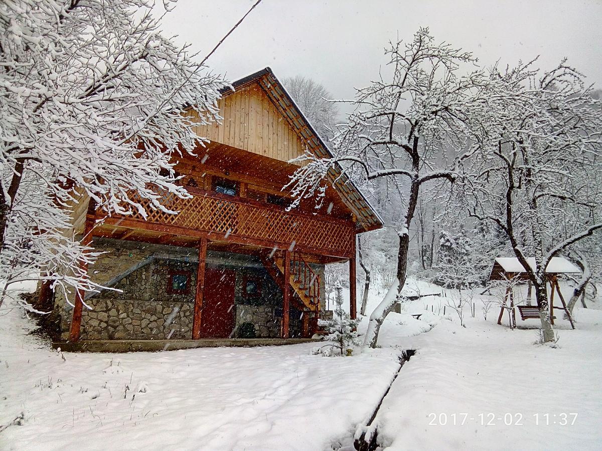 Під Горою Villa Sheshory Exterior photo