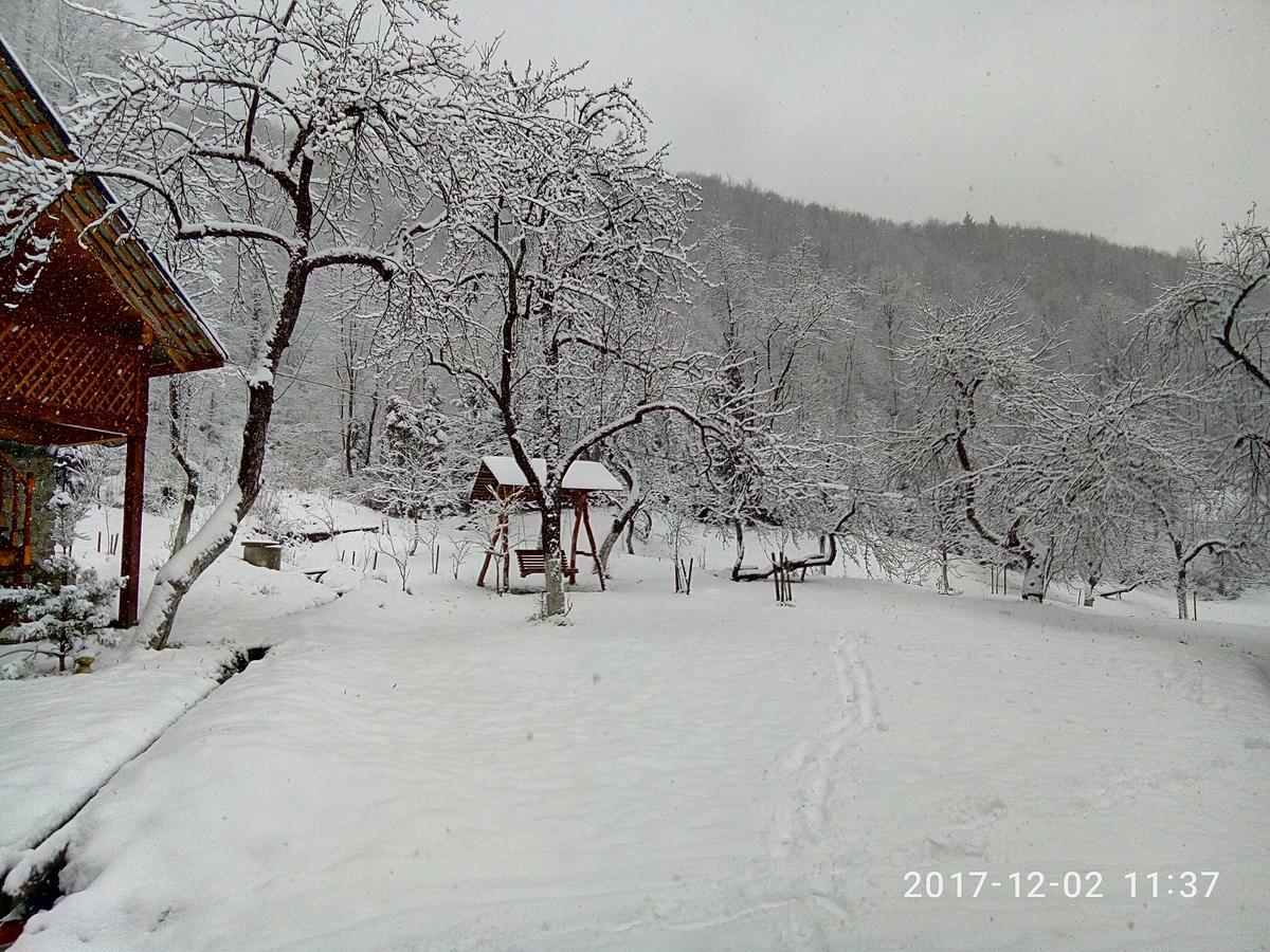 Під Горою Villa Sheshory Exterior photo